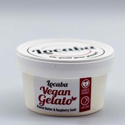 vegan gelato mini1